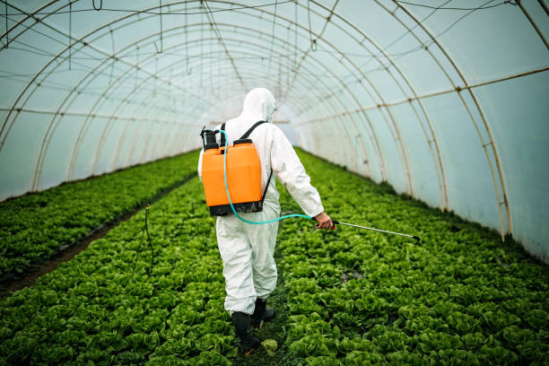 Best Local Pest Control Services  in Grand Bay, AL