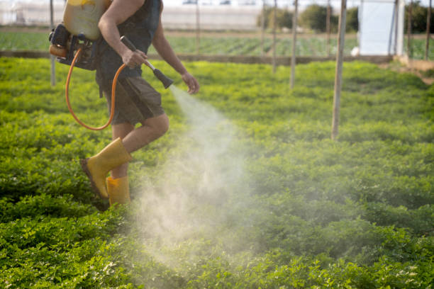 Trusted Grand Bay, AL Pest Control Experts