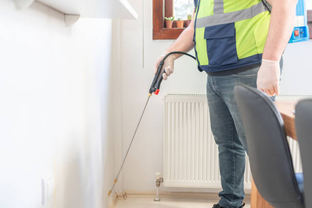Best Wasp Removal Services  in Grand Bay, AL