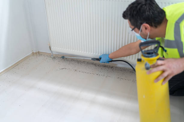 Pest Control Cost in Grand Bay, AL