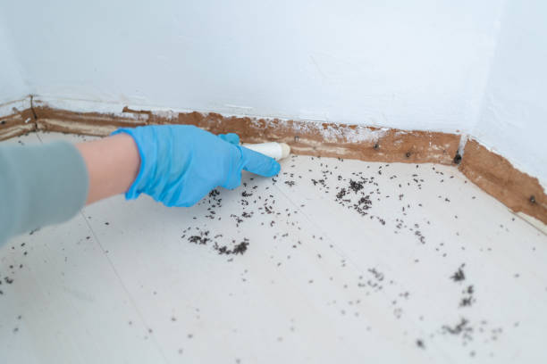 Best Commercial Pest Control Services  in Grand Bay, AL